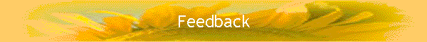 Feedback